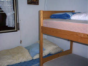 fedder013.jpg